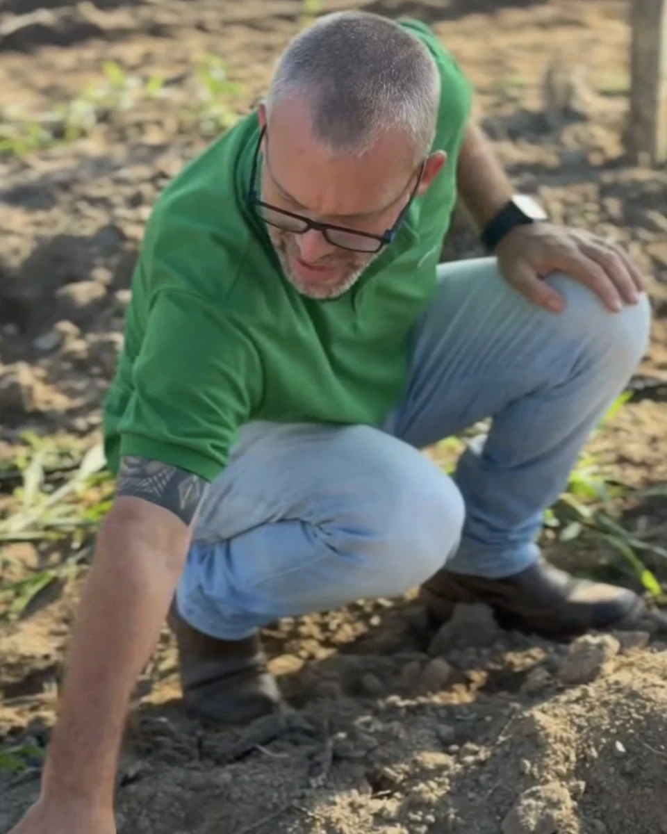 Registro da atuação técnica da Erasmo Agro no campo