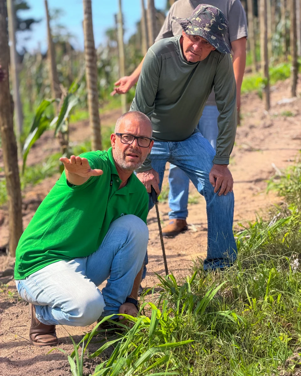 Registro da atuação técnica da Erasmo Agro no campo