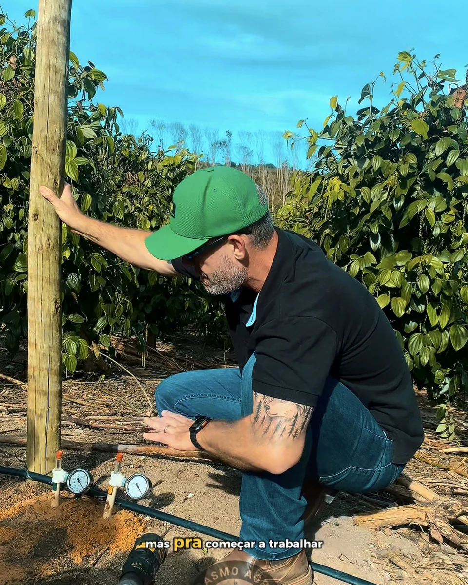 Registro da atuação técnica da Erasmo Agro no campo