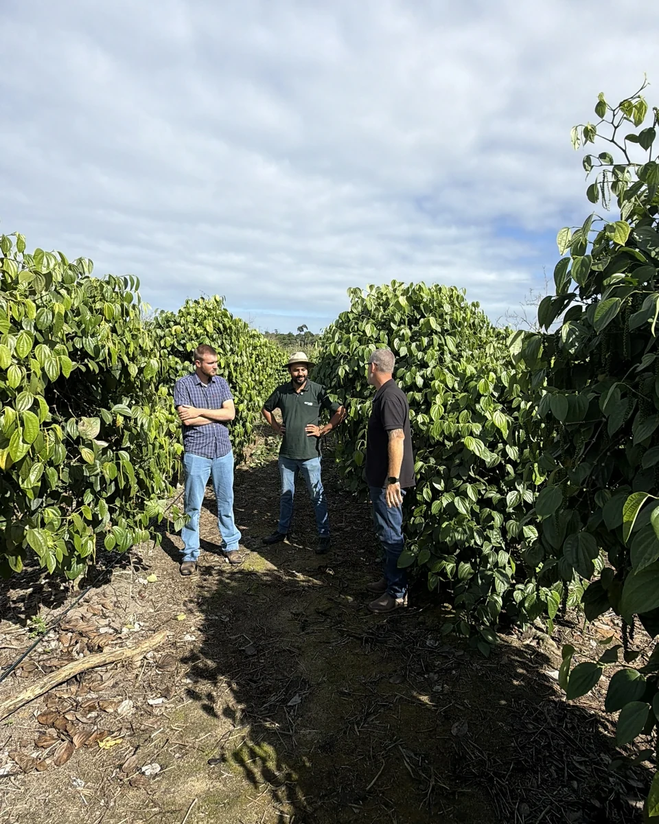 Registro da atuação técnica da Erasmo Agro no campo