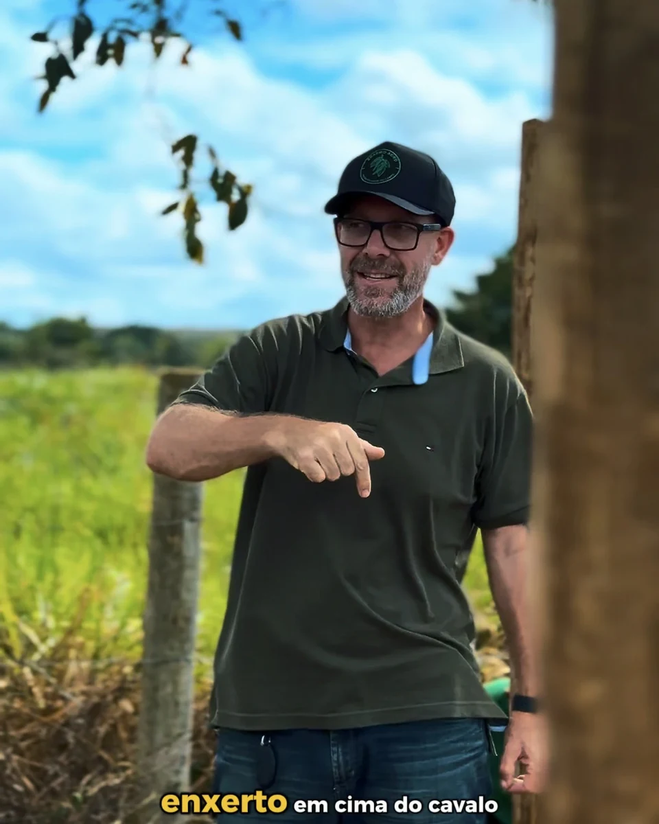 Registro da atuação técnica da Erasmo Agro no campo