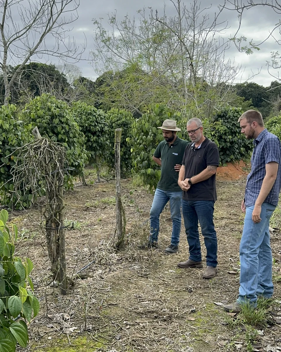 Registro da atuação técnica da Erasmo Agro no campo