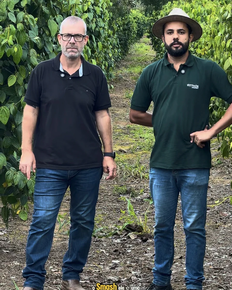 Registro da atuação técnica da Erasmo Agro no campo