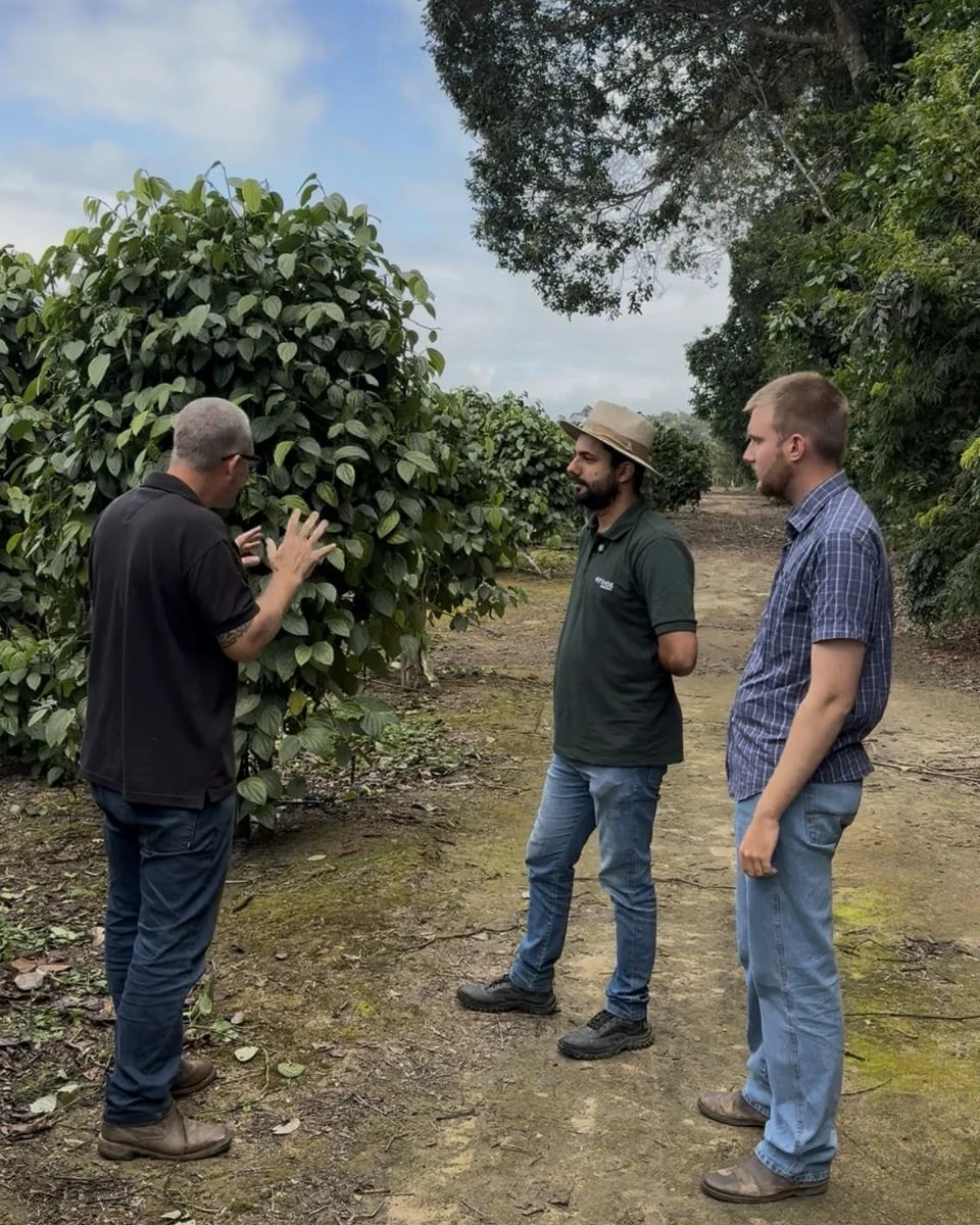 Registro da atuação técnica da Erasmo Agro no campo