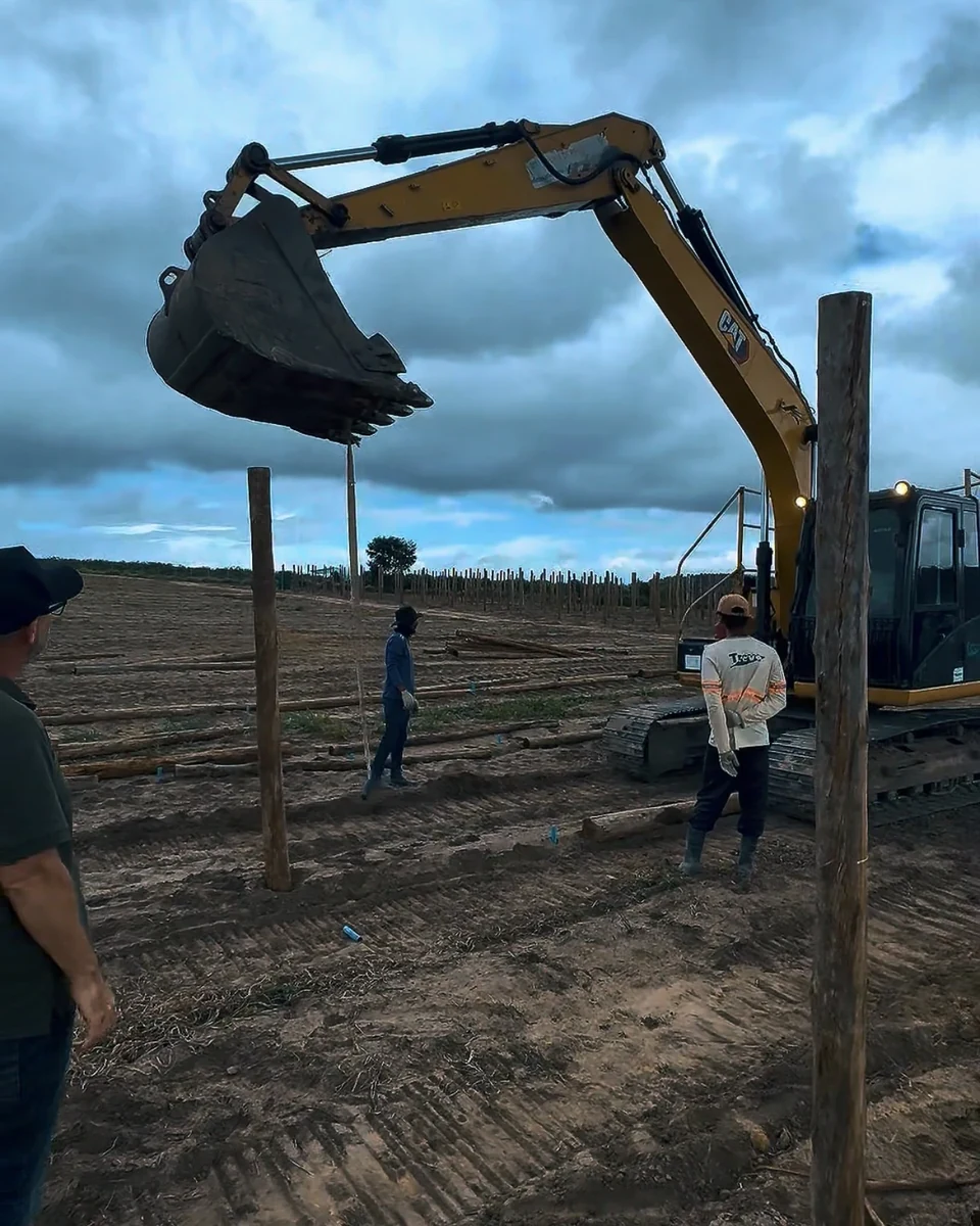 Registro da atuação técnica da Erasmo Agro no campo