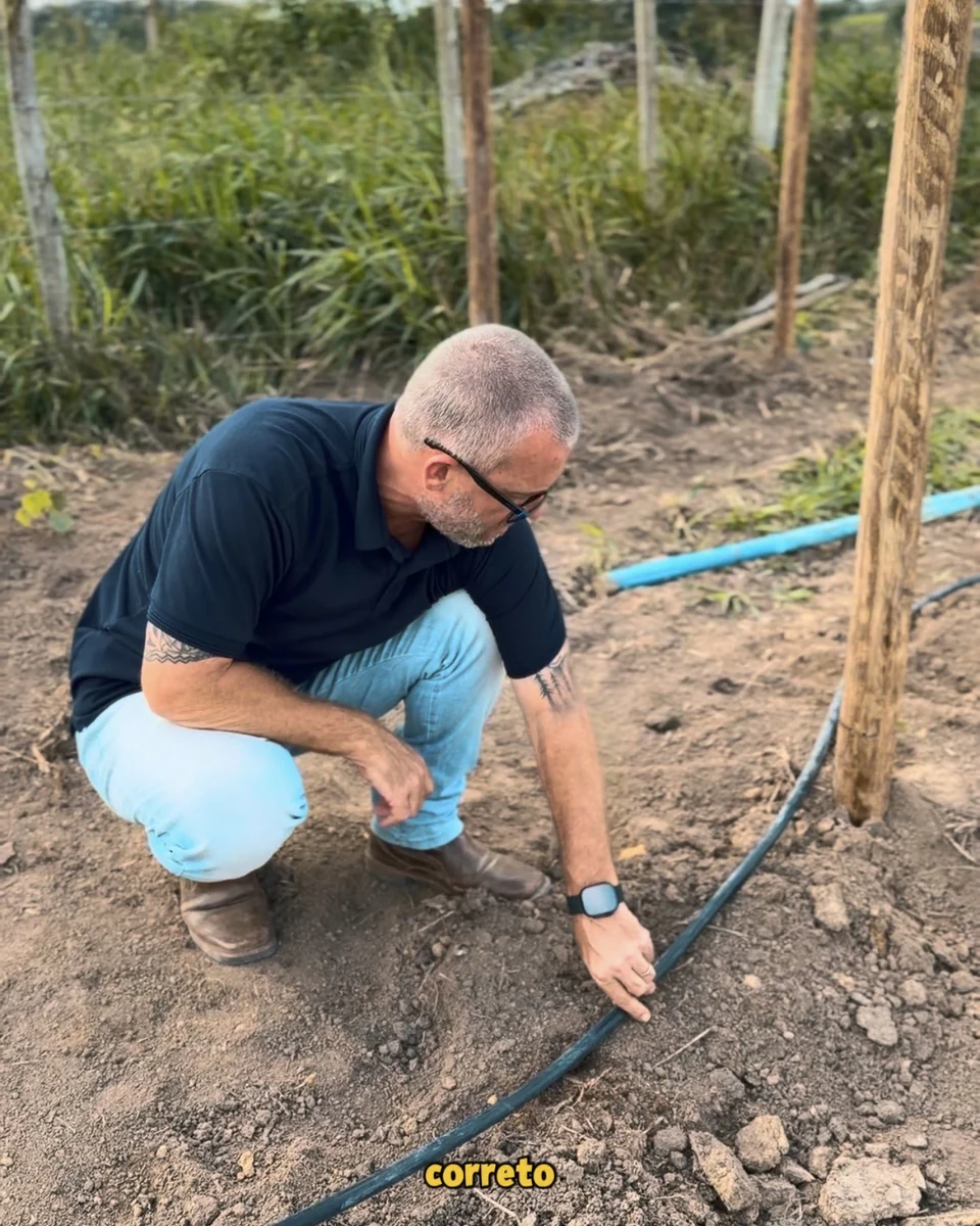 Registro da atuação técnica da Erasmo Agro no campo