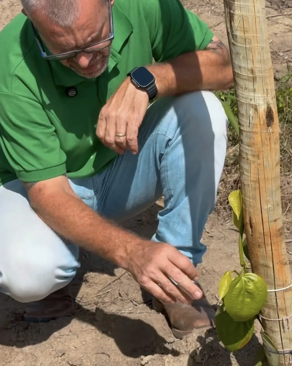 Registro da atuação técnica da Erasmo Agro no campo