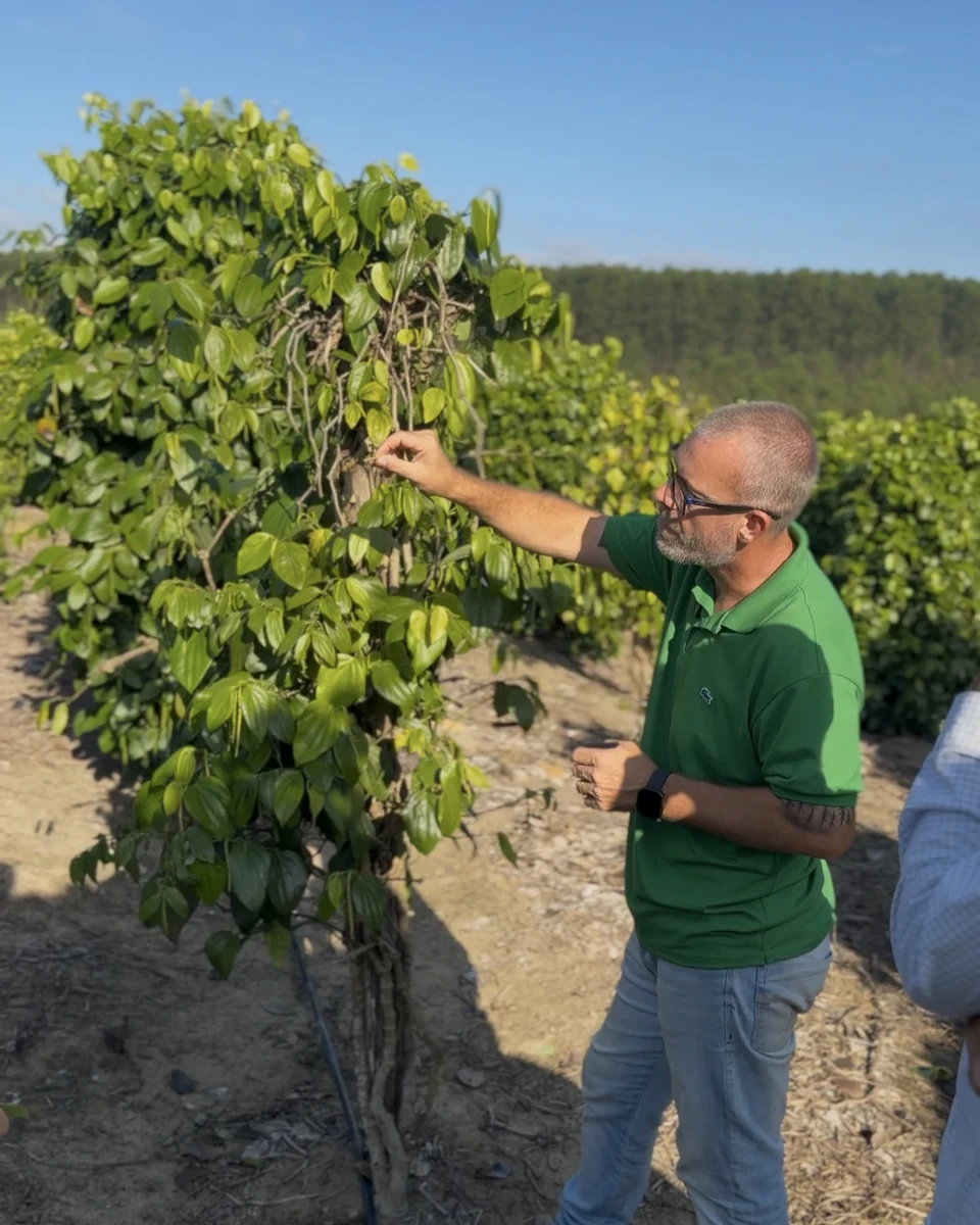 Registro da atuação técnica da Erasmo Agro no campo