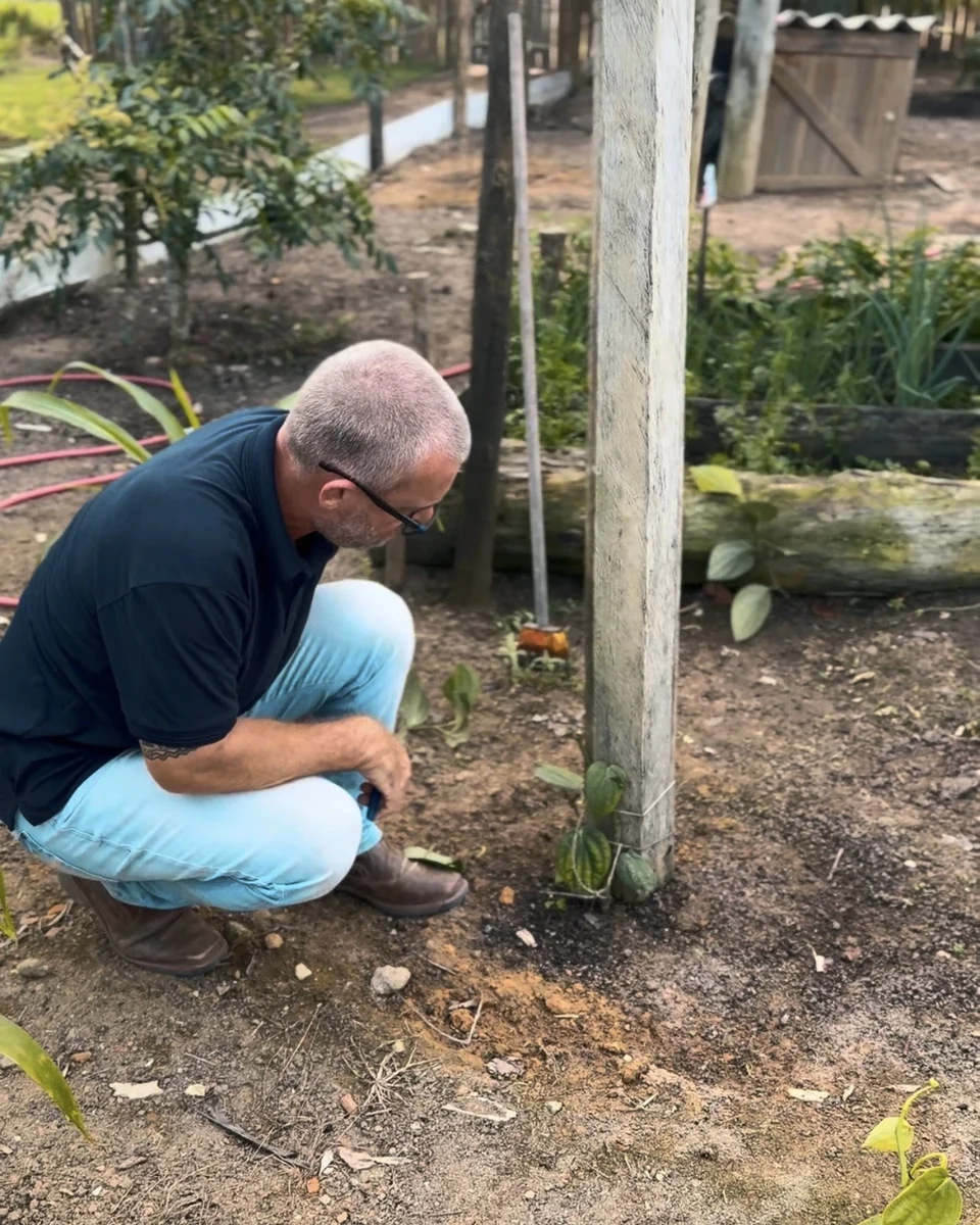 Registro da atuação técnica da Erasmo Agro no campo