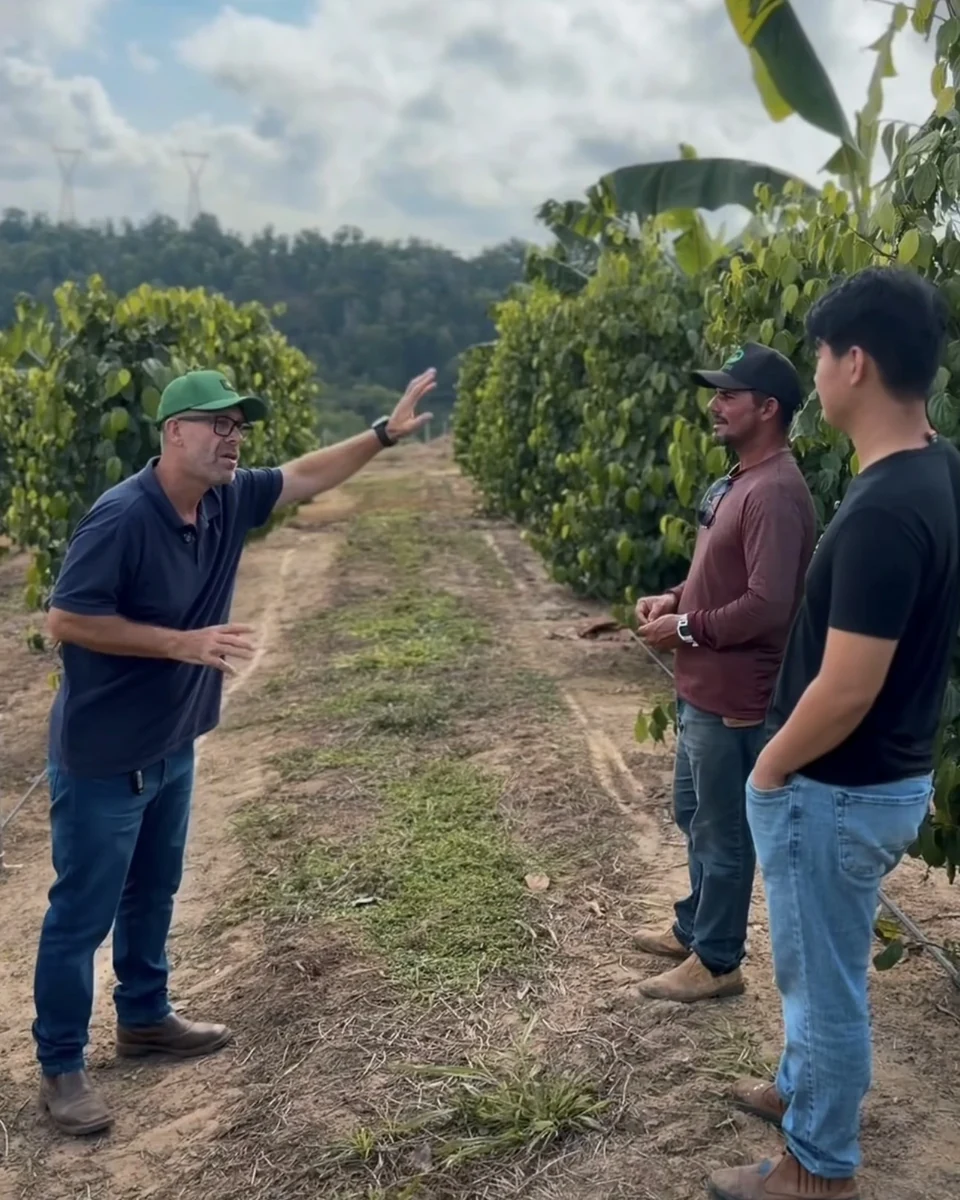 Registro da atuação técnica da Erasmo Agro no campo