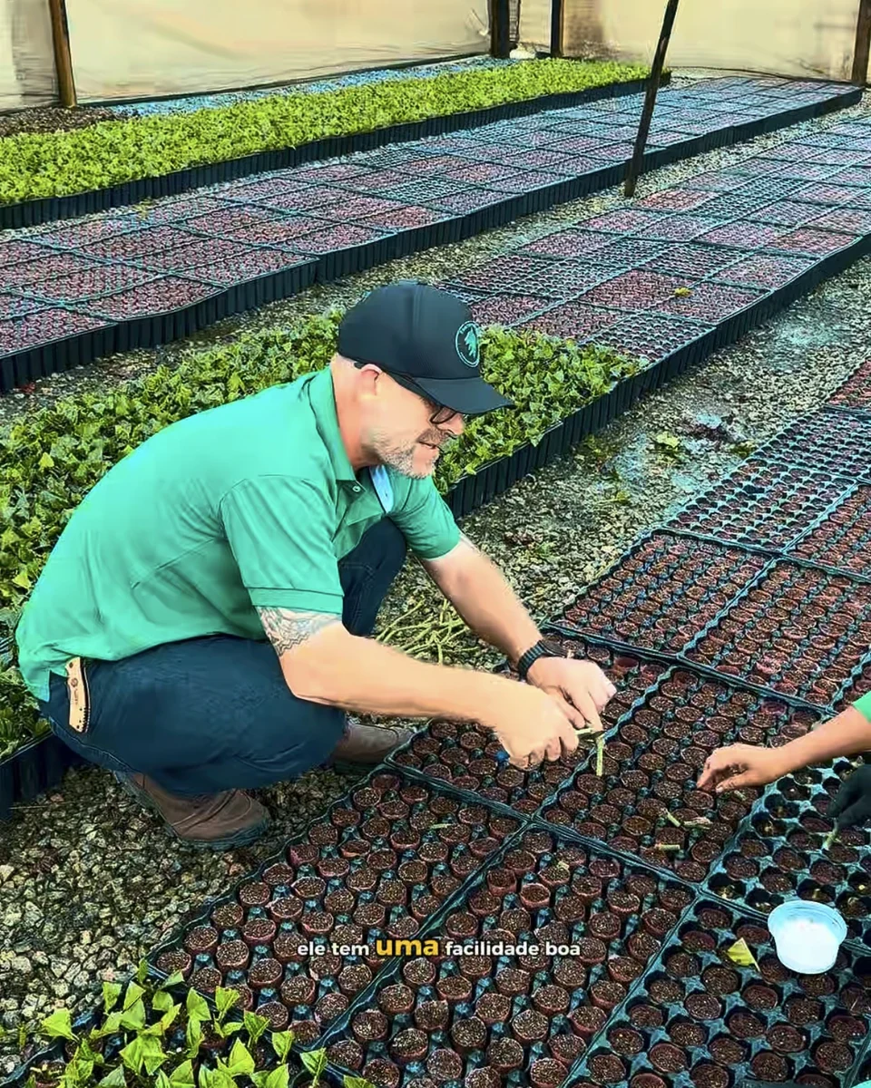 Registro da atuação técnica da Erasmo Agro no campo