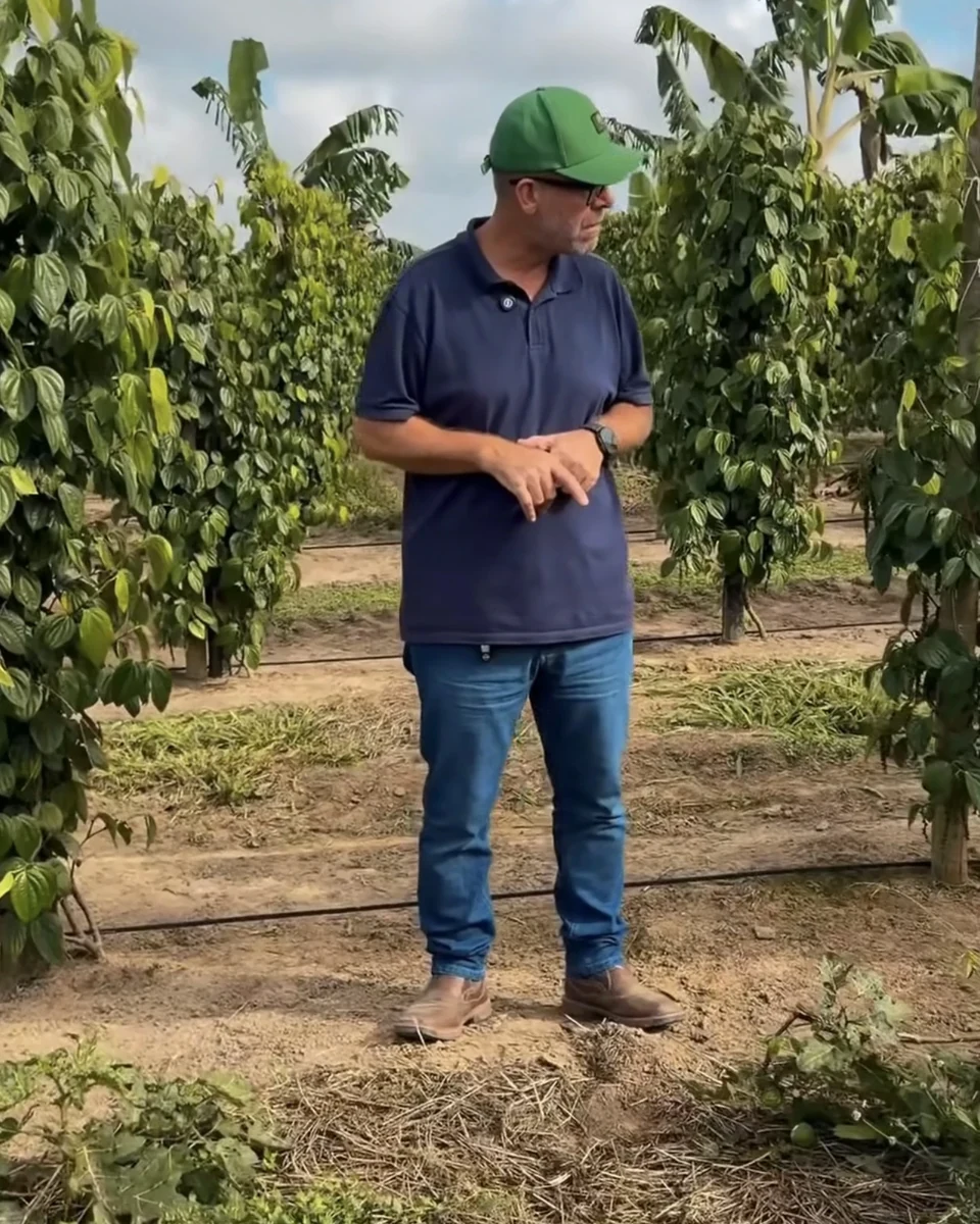 Registro da atuação técnica da Erasmo Agro no campo