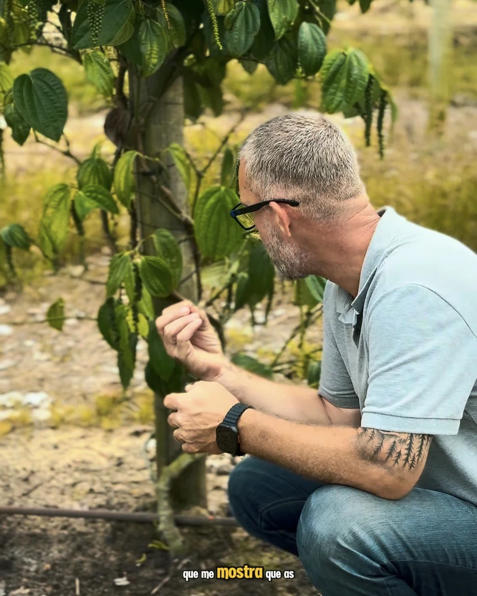 Registro da atuação técnica da Erasmo Agro no campo