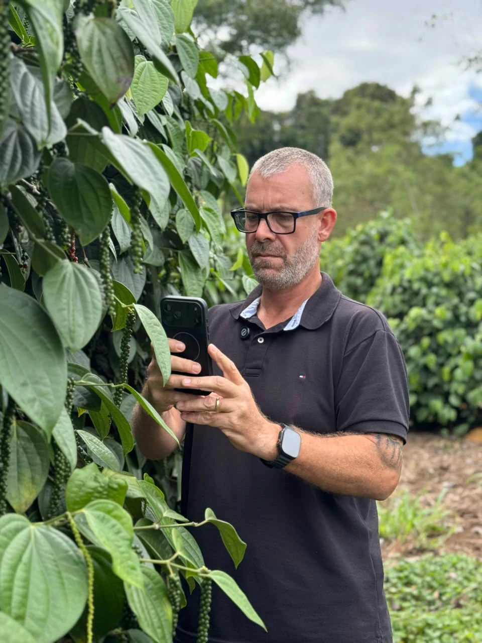 Consultoria Online — Erasmo Agro