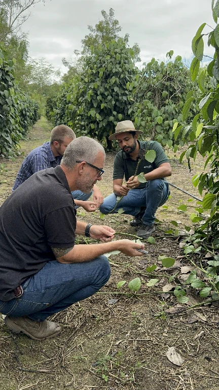 Erasmo Fernandes orientando produtores no campo