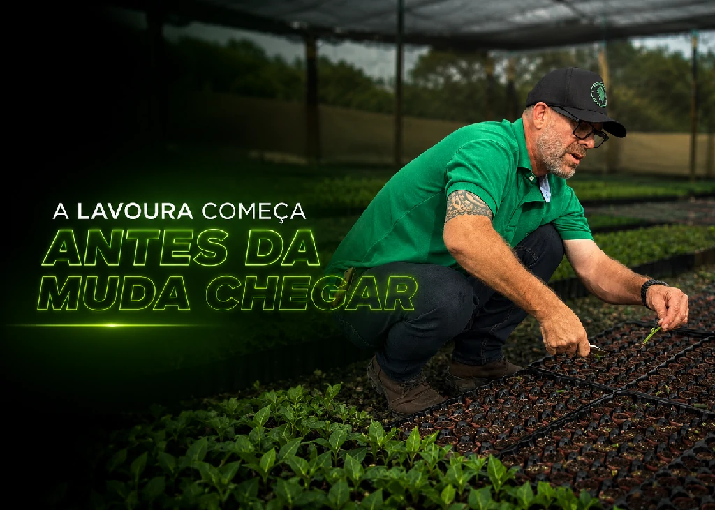 A lavoura começa muito antes de a muda chegar