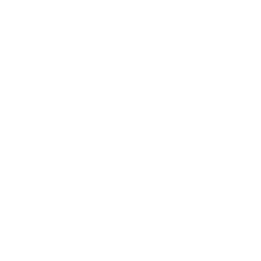 Logo Erasmo Agro