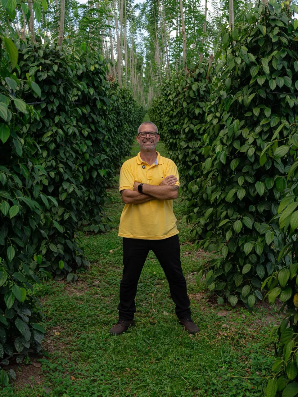 Erasmo Fernandes avaliando uma lavoura de pimenta do reino no campo